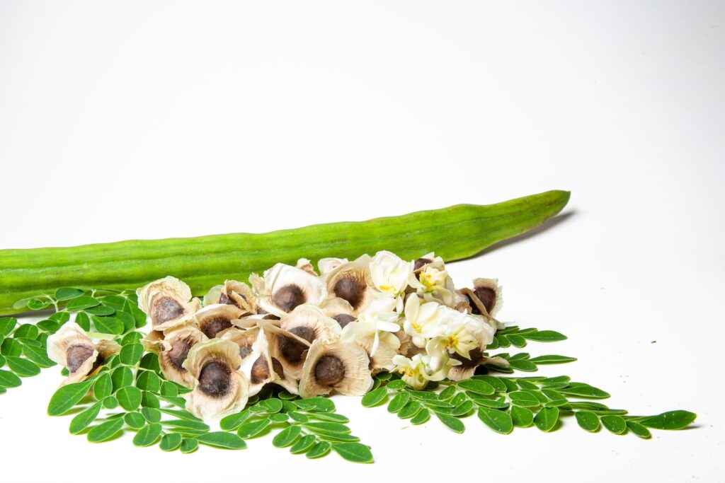 How Long Does it Take for Moringa to Start Working